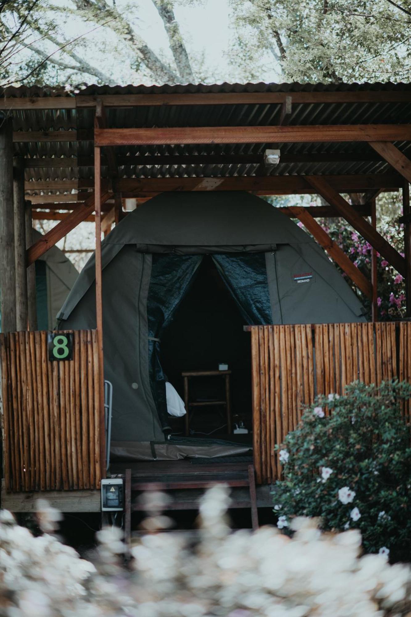 Storms River Forest Lodge Stormsrivier Eksteriør bilde