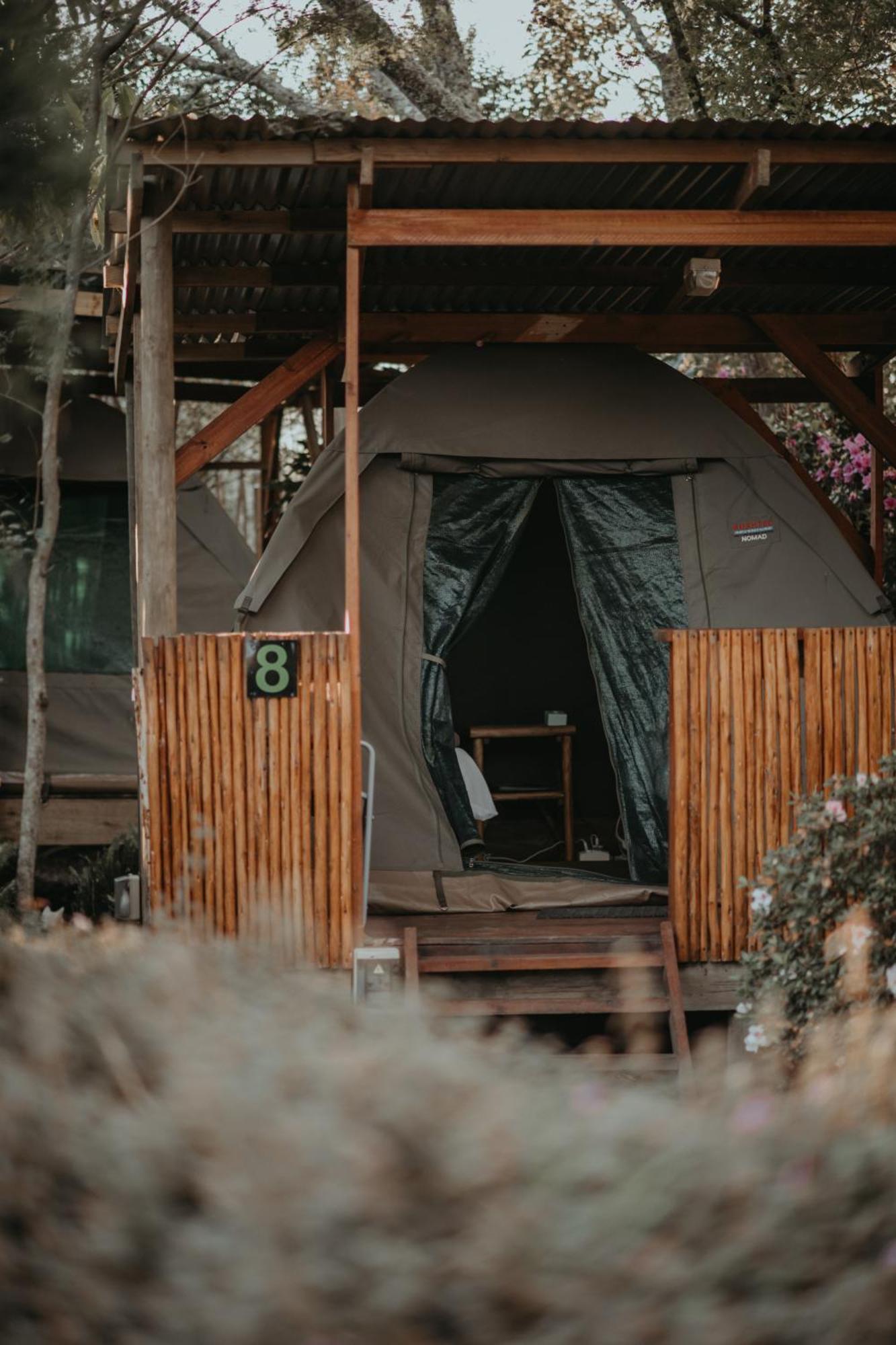 Storms River Forest Lodge Stormsrivier Eksteriør bilde