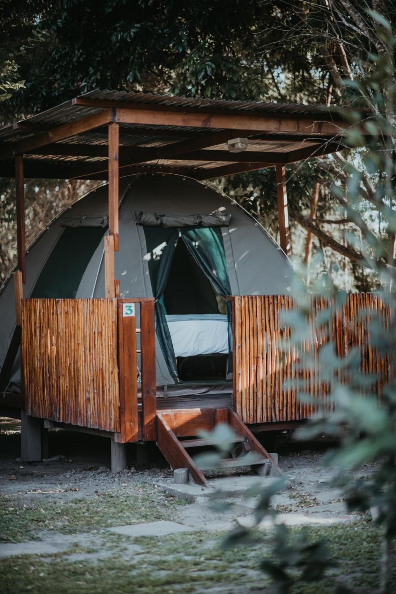 Storms River Forest Lodge Stormsrivier Eksteriør bilde