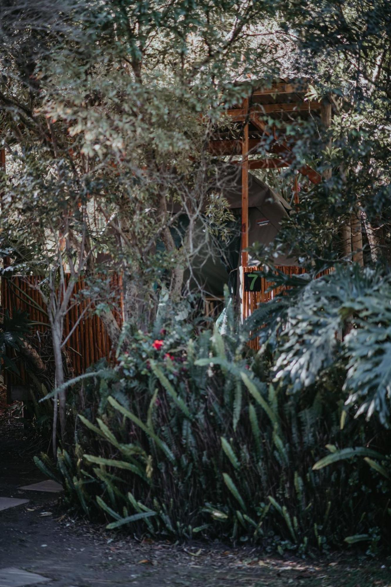 Storms River Forest Lodge Stormsrivier Eksteriør bilde