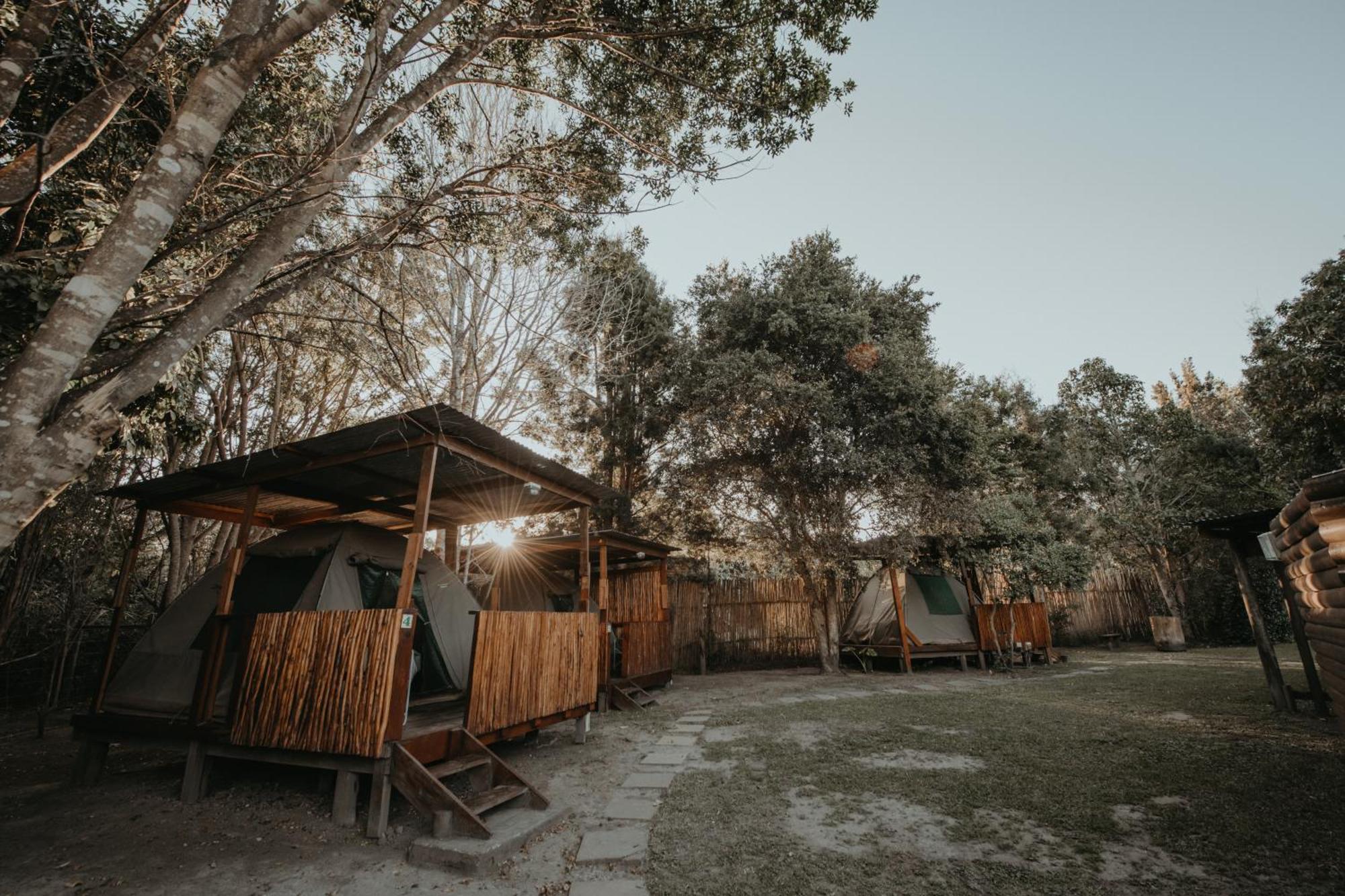 Storms River Forest Lodge Stormsrivier Eksteriør bilde